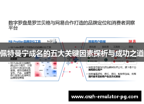 佩特曼宁成名的五大关键因素探析与成功之道