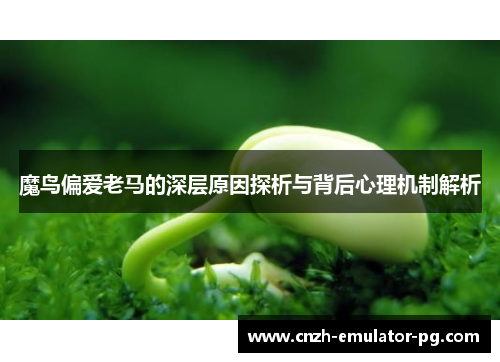 魔鸟偏爱老马的深层原因探析与背后心理机制解析